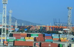 新疆首個跨境電商公共清關中心啟動運營