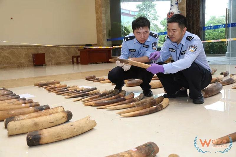 擴門戶 暢通道——南寧海關推動廣西外向型經濟全面發展-貨之家