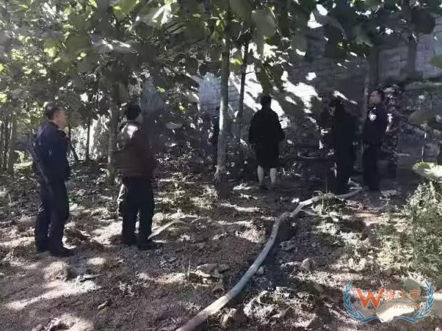 昆明海關破獲系列走私柴油入境案——貨之家