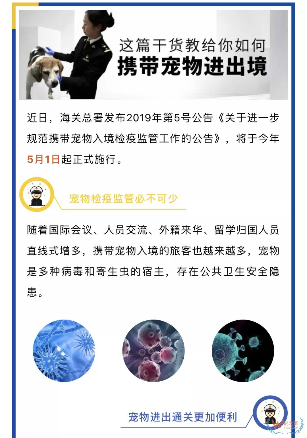 寵物入境有新規(guī) 貓狗通關更便利——貨之家
