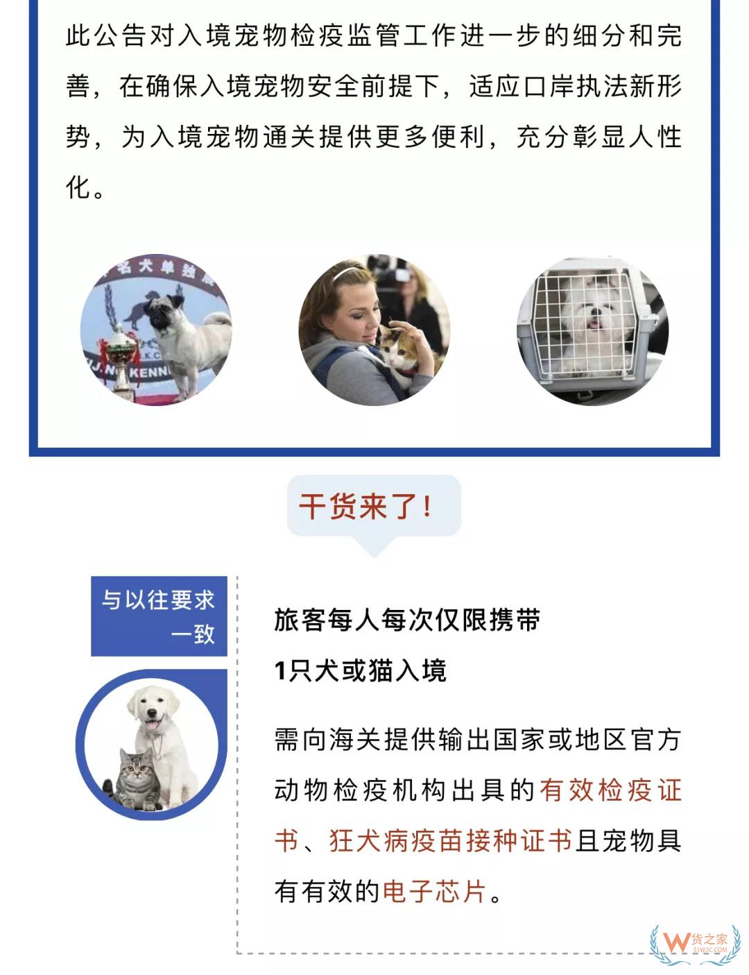 寵物入境有新規(guī) 貓狗通關更便利——貨之家
