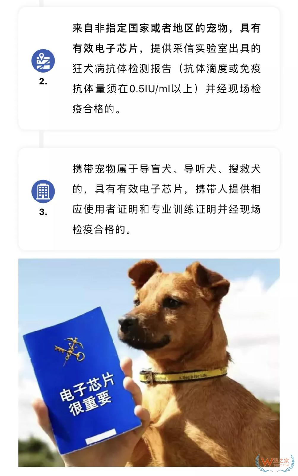 寵物入境有新規(guī) 貓狗通關更便利——貨之家