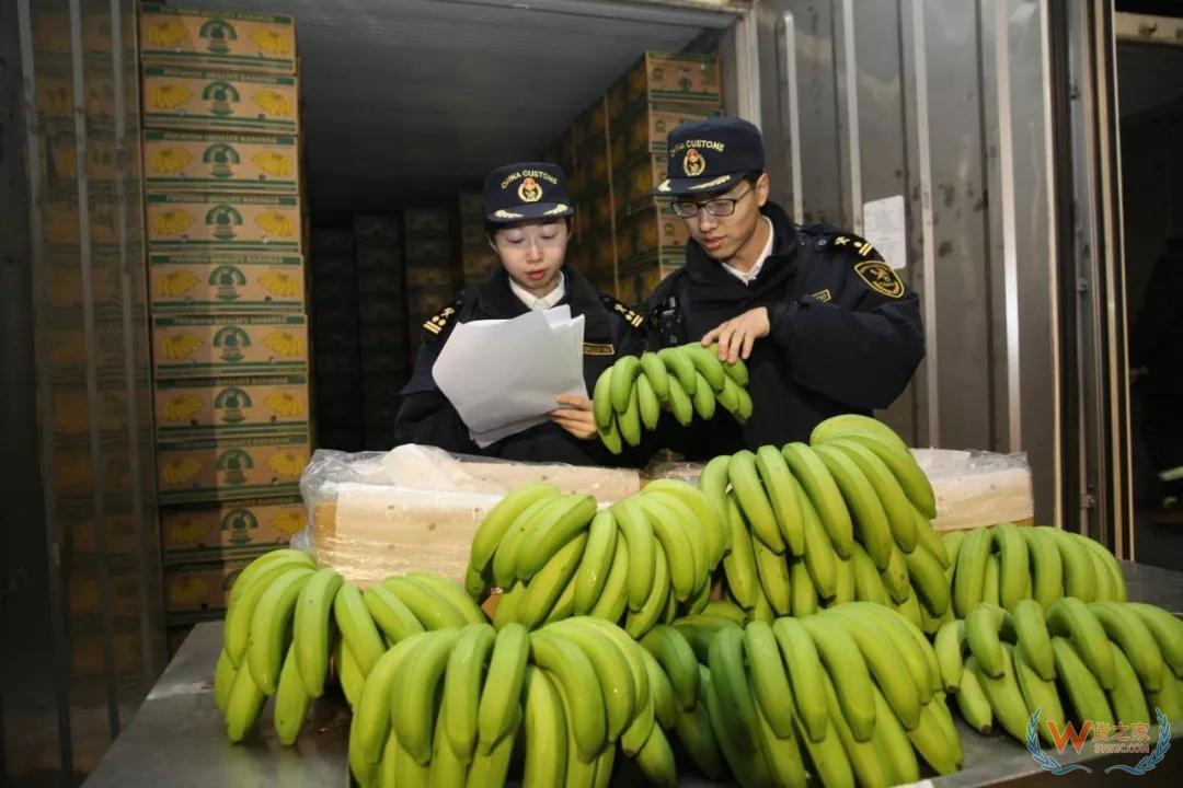 大連海關助力“一帶一路”農產品走上百姓餐桌—貨之家