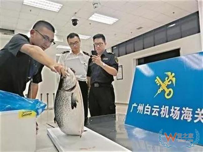 廣州空港經濟區著力優化營商環境 推動發展臨空新業態——貨之家