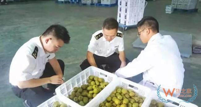 夜讀海關 | 天津海關截獲松鼠遺骸；7500余噸涉案“洋垃圾” 退運！—貨之家